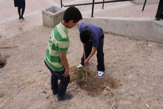 El Ayuntamiento de Molina de Segura conmemora el Día Mundial del Árbol 2015 con la puesta en marcha del proyecto APADRINA UN JARDÍN