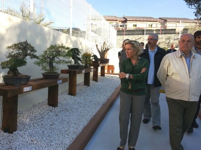 El CIFEA de Molina acoge una exposición permanente de bonsáis realizada por los alumnos de los cursos de jardinería