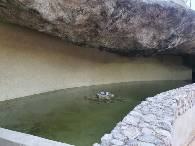 El equipo de Gobierno local culmina las obras de restauración ambiental en el humedal Fuente del Chorrico