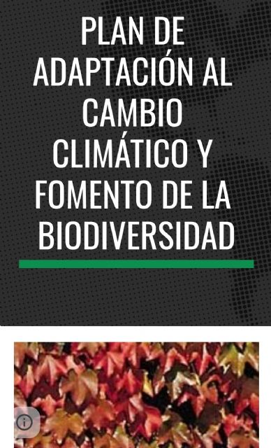 El CEIP Cervantes de Molina de Segura desarrolla un Plan de Adaptación al Cambio Climático y Fomento de la Biodiversidad
