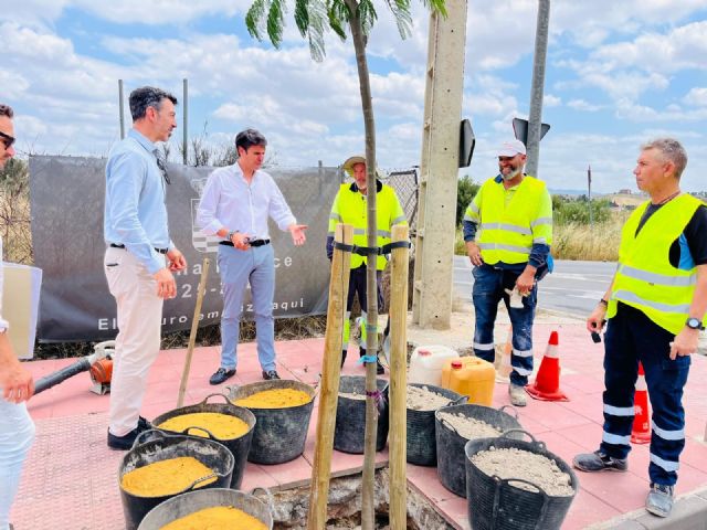Avanzan a buen ritmo los trabajos de renaturalización del casco urbano de Molina de Segura con la plantación de nuevo arbolado en Avenida del Chorrico y Ronda Este