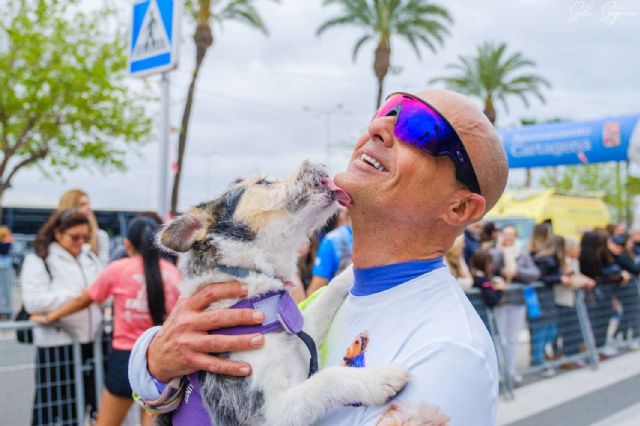 El Ayuntamiento concede el IV Premio Molina Ciudad Amiga de los Animales 2026 al Colegio Salzillo, al Ilustre Colegio Oficial de Veterinarios de la Región de Murcia y a Jorge Diego Conesa y Sergio Sánchez