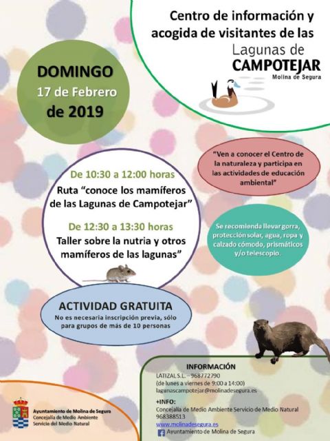 El Centro de Información y Acogida de Visitantes de Las Lagunas de Campotéjar  Salar Gordo de Molina de Segura propone conocer a la nutria y otros mamíferos del entorno el domingo 17 de febrero