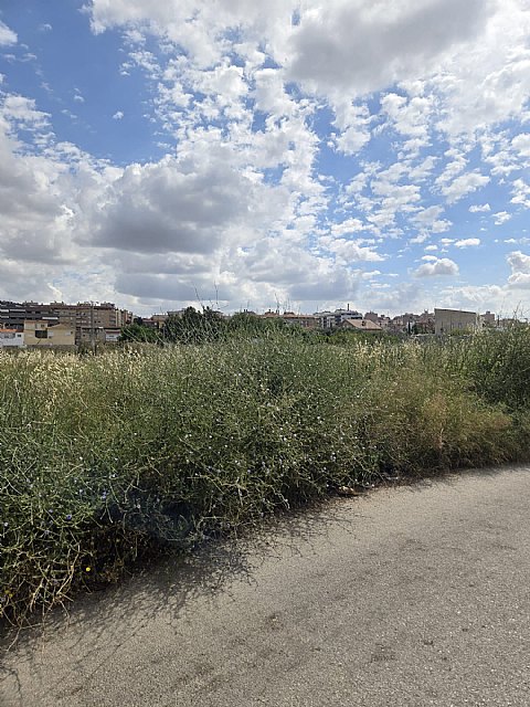 El PSOE exige un Plan de Choque urgente para limpiar los solares abandonados de Molina de Segura