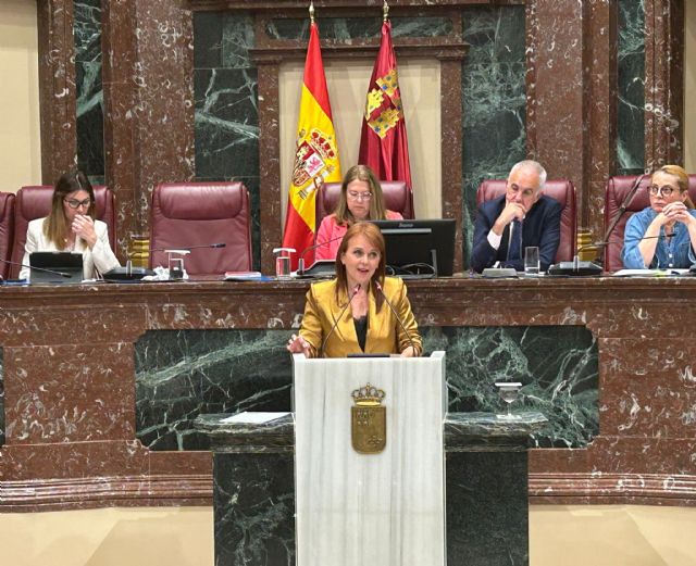 El PSOE saca adelante una iniciativa para construir una residencia pública para personas mayores en Molina de Segura, con los votos en contra del PP
