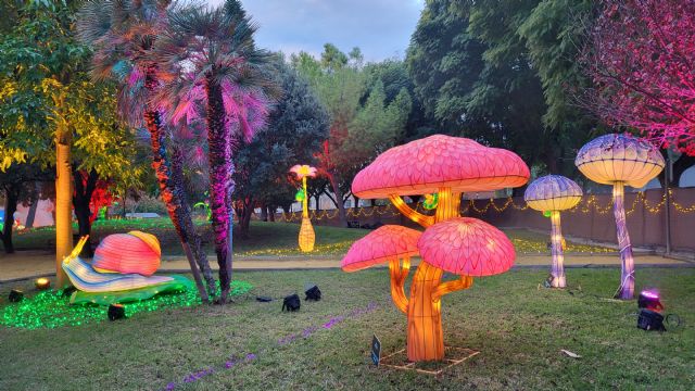 El Parque de la Compa&ntilde;ía de Molina de Segura se transforma en un espacio mágico con el evento Lucidum Natura hasta el próximo día 5 de enero