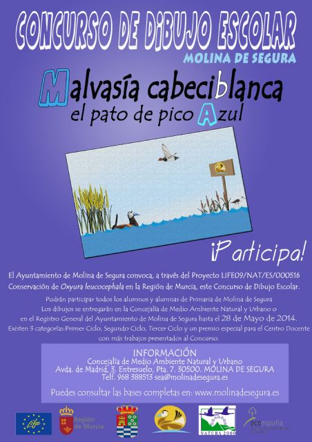 El Ayuntamiento de Molina de Segura convoca el concurso de dibujo escolar La malvasía cabeciblanca: el pato del pico azul