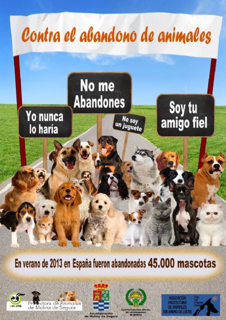 El Ayuntamiento de Molina de Segura presenta una campaña de sensibilización contra el abandono de animales