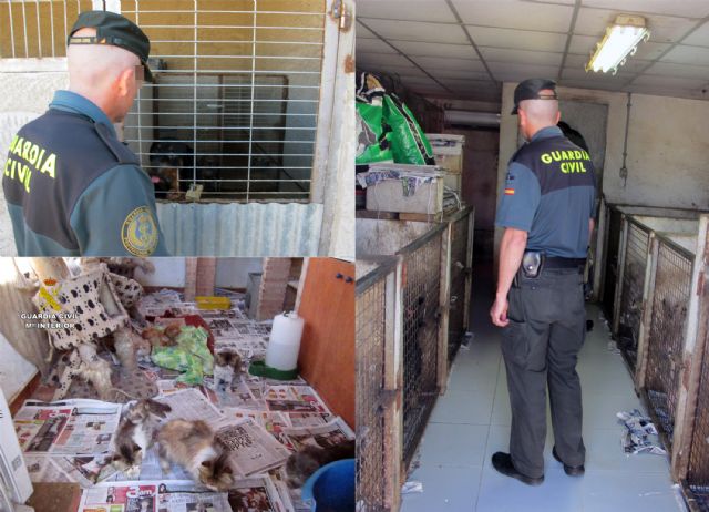 La Guardia Civil desmantela un criadero ilegal de animales de compañía