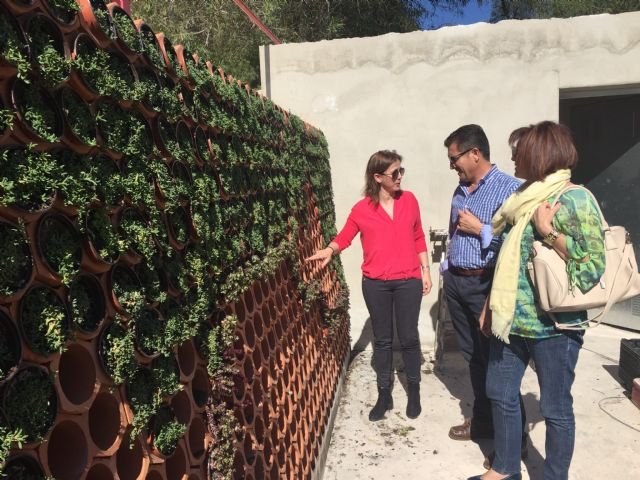 Los alumnos del CIFEA de Molina de Segura conocen las últimas tendencias en el diseño y creación de jardines innovadores