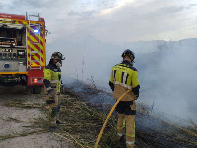 Servicios de emergencias extinguen un incendio de cañas y matorral en Torrealta, pedanía de Molina de Segura