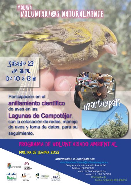 El Programa de Voluntariado Ambiental ¡Molina, Voluntarios/as Naturalmente! propone una actividad de anillamiento de aves en Las Lagunas de Campotéjar el sábado 23 de abril