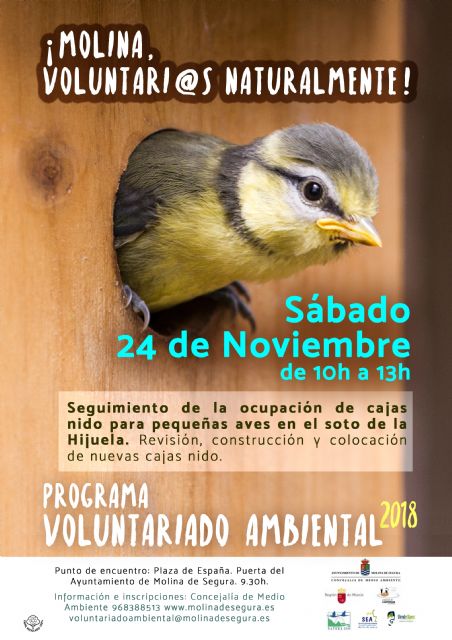 El Programa de Voluntariado Ambiental de Molina de Segura ¡Voluntari@s Naturalmente! colabora en el seguimiento de la ocupación de cajas nido en el Soto de la Hijuela el sábado 24 de noviembre