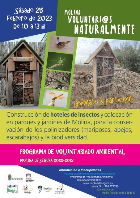 El Programa de Voluntariado Ambiental ¡Molina, Voluntari@s Naturalmente! propone la colaboración en la conservación de los polinizadores con la construcción y colocación de hoteles de insectos en parques de Molina de Segura el sábado 25 de febrero