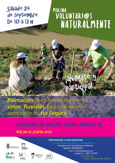 El Programa de Voluntariado Ambiental ¡Molina, Voluntari@s Naturalmente! lleva a cabo una plantación en el Soto fluvial de La Hijuela el sábado 24 de septiembre