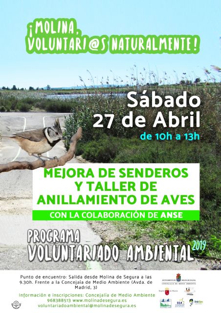 La mejora de los senderos del humedal de Las Lagunas de Campotéjar  Salar Gordo y un taller de anillamiento de aves son las propuestas del Programa de Voluntariado Ambiental de Molina de Segura ¡Voluntari@s Naturalmente! para el sábado 27 de abril