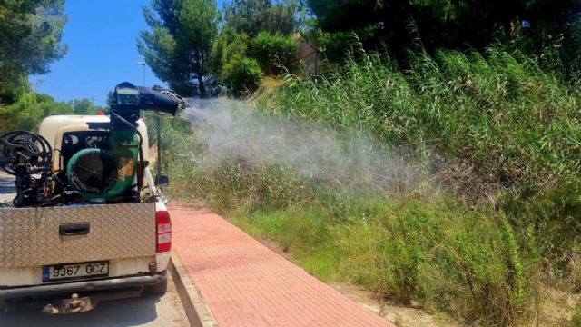 Molina de Segura se blinda contra los mosquitos