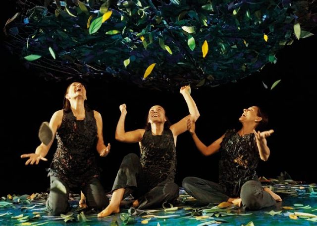 La compañía catalana Inspira Teatre presenta el espectáculo SOTOBOSQUE, LA VIDA BAJO LOS ÁRBOLES en el Teatro Villa de Molina el martes 31 de octubre