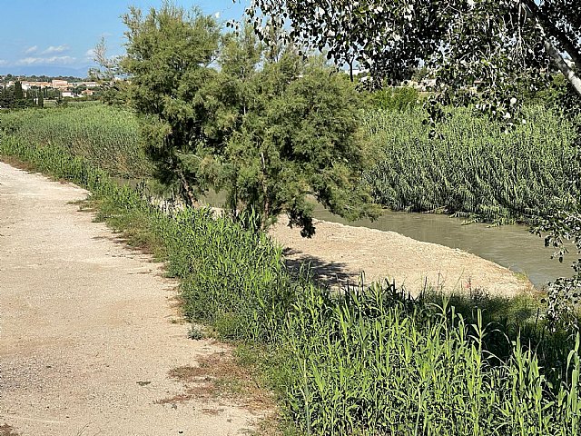 La Ribera de Molina recupera la playa fluvial de Las Peñetas